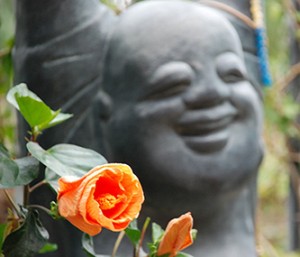 Buddha with Rose