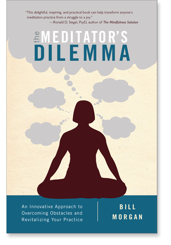 meditator's dilemma