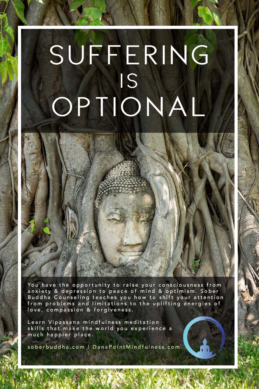 Suffering is Optional Poster